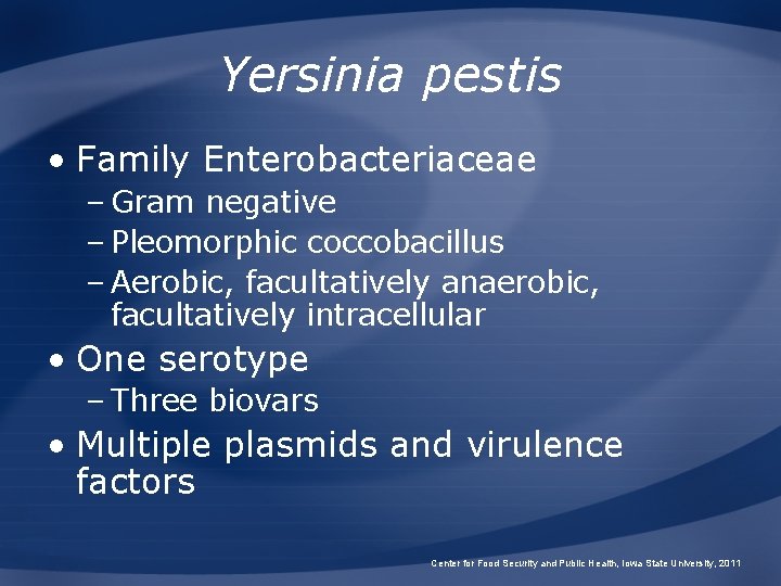 Yersinia pestis • Family Enterobacteriaceae – Gram negative – Pleomorphic coccobacillus – Aerobic, facultatively