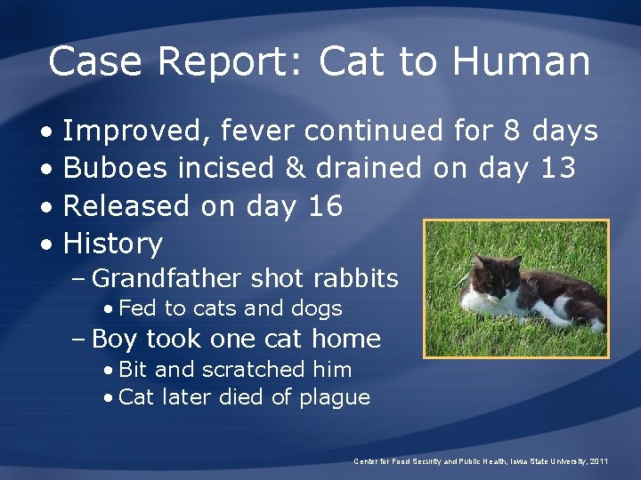 Case Report: Cat to Human • Improved, fever continued for 8 days • Buboes