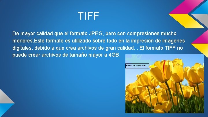 TIFF De mayor calidad que el formato JPEG, pero con compresiones mucho menores. Este