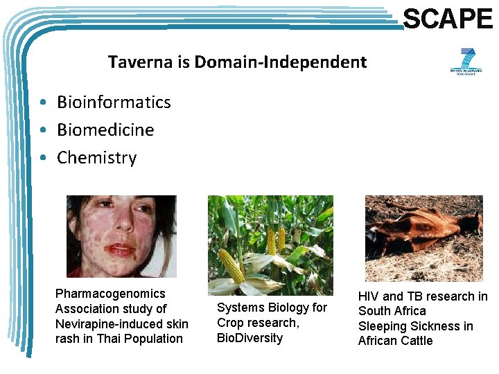 SCAPE Taverna is Domain-Independent • Bioinformatics • Biomedicine • Chemistry Pharmacogenomics Association study of