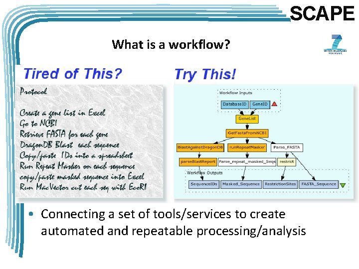 SCAPE What is a workflow? • Connecting a set of tools/services to create automated