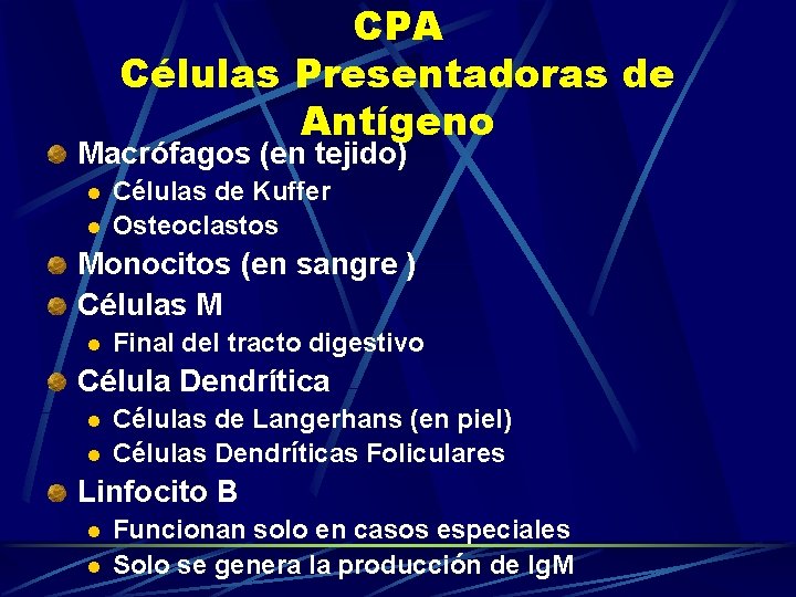CPA Células Presentadoras de Antígeno Macrófagos (en tejido) l l Células de Kuffer Osteoclastos