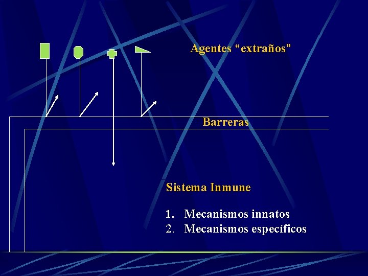 Agentes “extraños” Barreras Sistema Inmune 1. Mecanismos innatos 2. Mecanismos específicos 