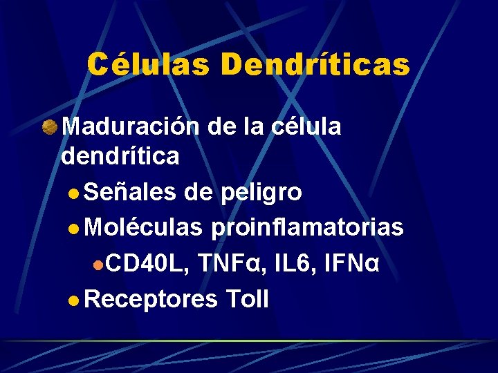 Células Dendríticas Maduración de la célula dendrítica l Señales de peligro l Moléculas proinflamatorias