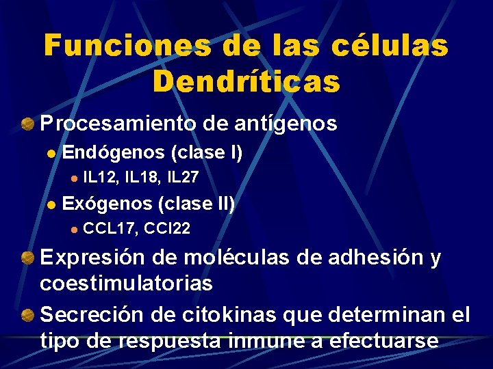 Funciones de las células Dendríticas Procesamiento de antígenos l Endógenos (clase I) l l