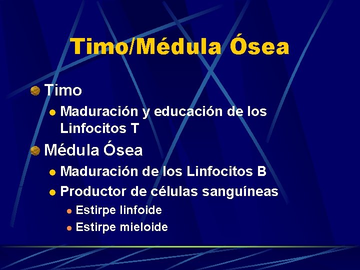 Timo/Médula Ósea Timo l Maduración y educación de los Linfocitos T Médula Ósea Maduración