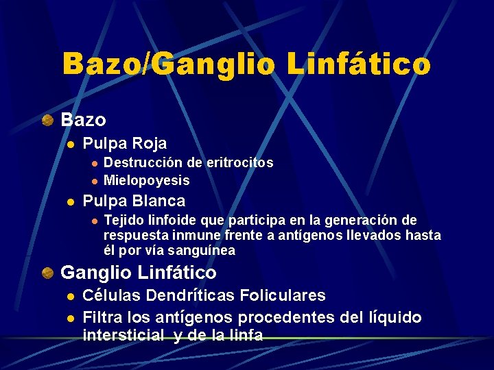 Bazo/Ganglio Linfático Bazo l Pulpa Roja l l l Destrucción de eritrocitos Mielopoyesis Pulpa