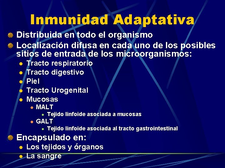 Inmunidad Adaptativa Distribuida en todo el organismo Localización difusa en cada uno de los