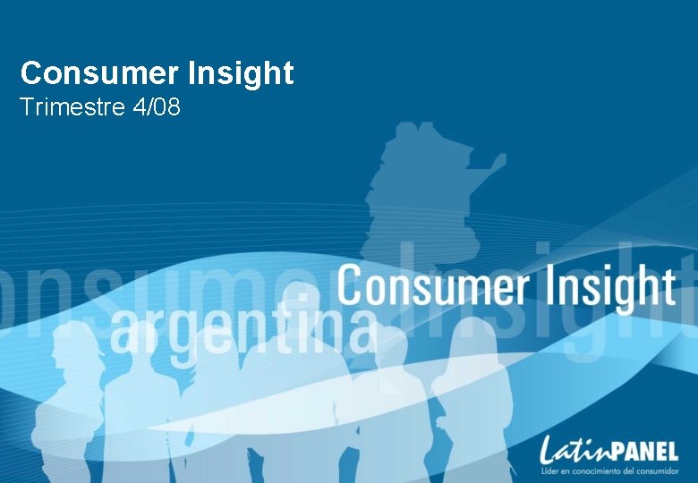 Consumer Insight Trimestre 4/08 