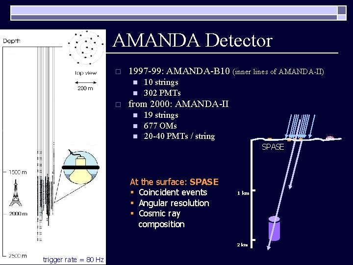 AMANDA Detector o 1997 -99: AMANDA-B 10 (inner lines of AMANDA-II) n n o