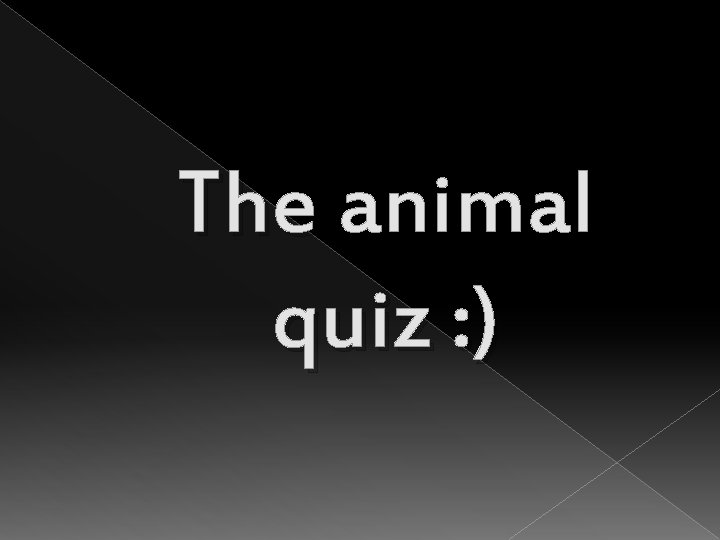 The animal quiz : ) 
