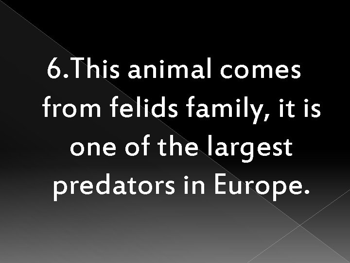 6. This animal comes from felids family, it is one of the largest predators