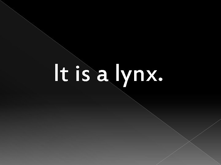 It is a lynx. 