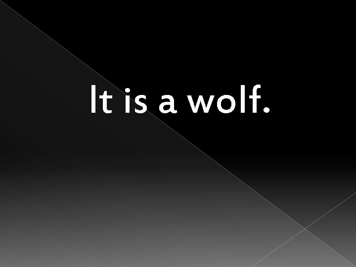It is a wolf. 