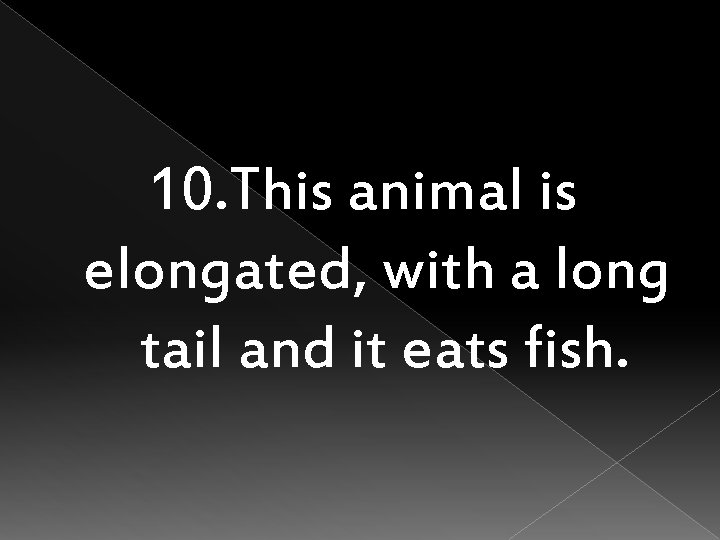 10. This animal is elongated, with a long tail and it eats fish. 