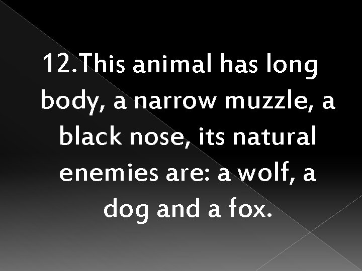 12. This animal has long body, a narrow muzzle, a black nose, its natural