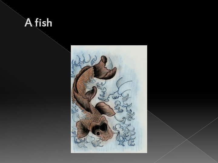 A fish 