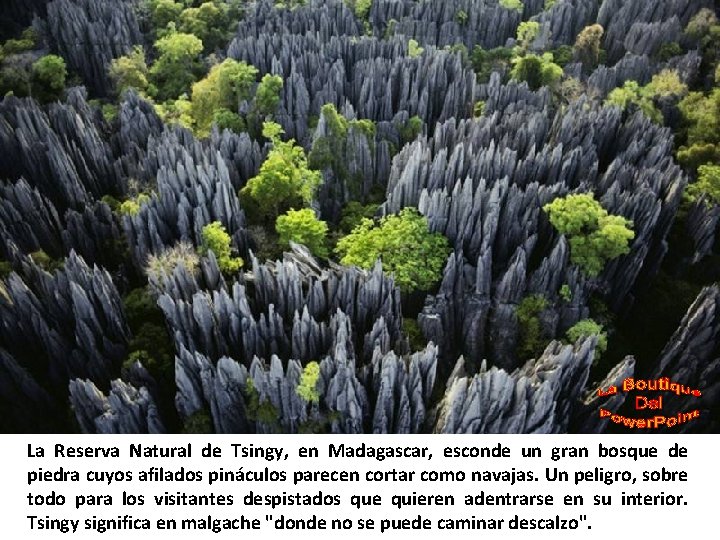 La Reserva Natural de Tsingy, en Madagascar, esconde un gran bosque de piedra cuyos