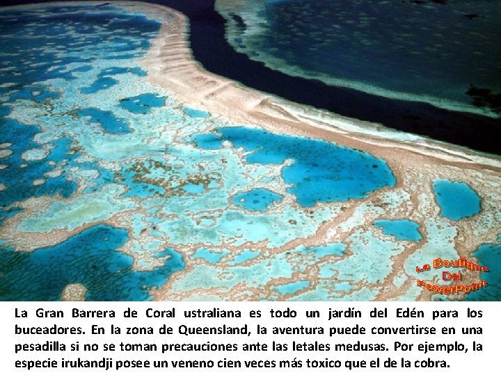 La Gran Barrera de Coral ustraliana es todo un jardín del Edén para los