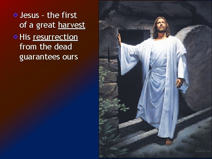 Jesus – the first of a great harvest His resurrection from the dead guarantees