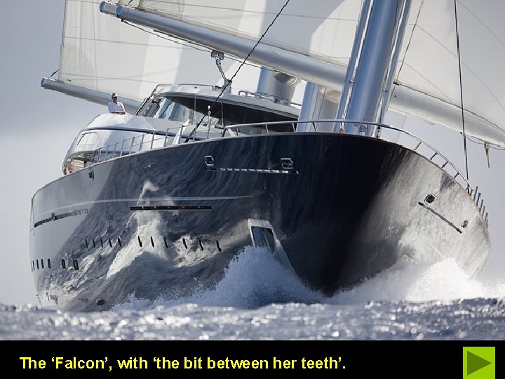 The ‘Falcon’, with ‘the bit between her teeth’. 