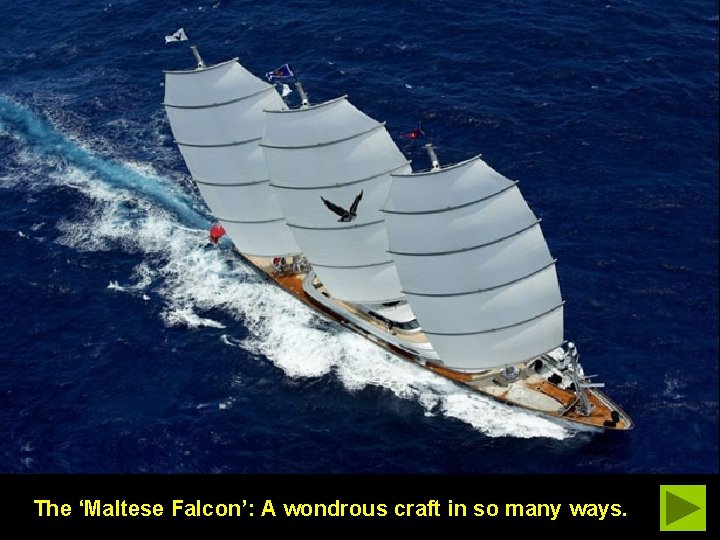 The ‘Maltese Falcon’: A wondrous craft in so many ways. 