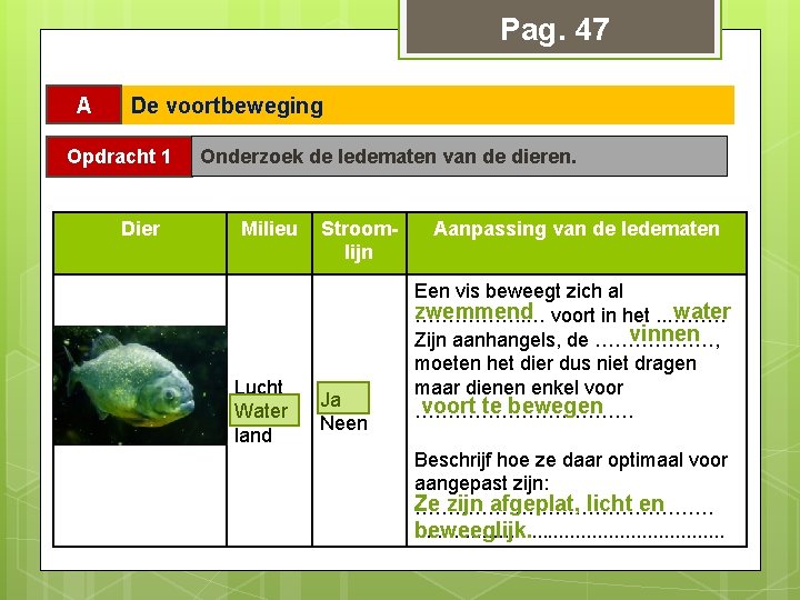 Pag. 47 A De voortbeweging Opdracht 1 Dier Onderzoek de ledematen van de dieren.