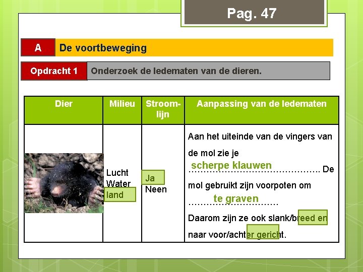 Pag. 47 A De voortbeweging Opdracht 1 Dier Onderzoek de ledematen van de dieren.