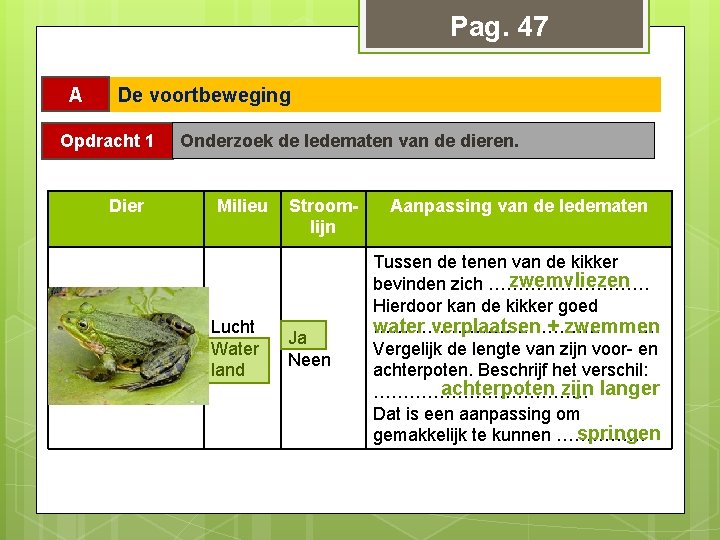 Pag. 47 A De voortbeweging Opdracht 1 Dier Onderzoek de ledematen van de dieren.