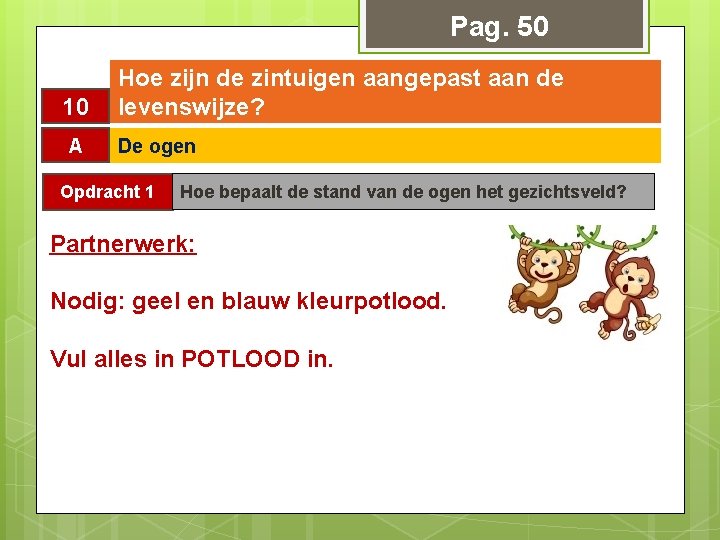 Pag. 50 10 A Hoe zijn de zintuigen aangepast aan de levenswijze? De ogen