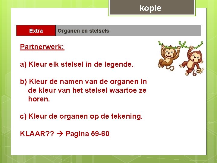 kopie Extra Organen en stelsels Partnerwerk: a) Kleur elk stelsel in de legende. b)