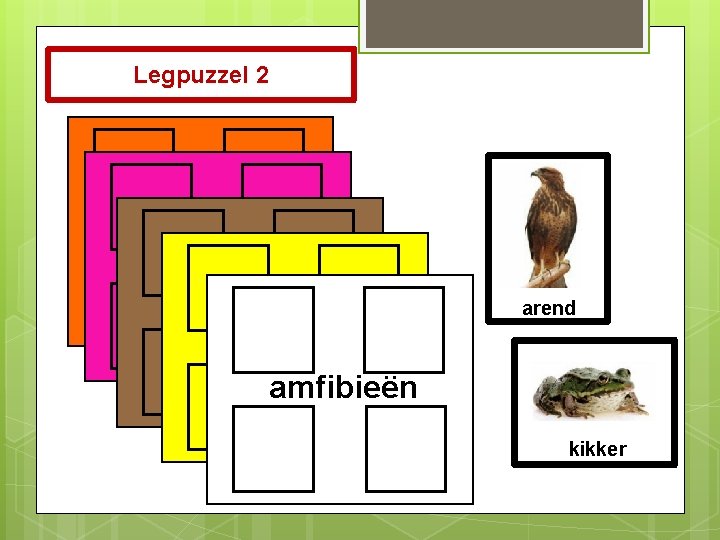 Legpuzzel 2 zoogdieren reptielen vogels vissen amfibieën arend kikker 