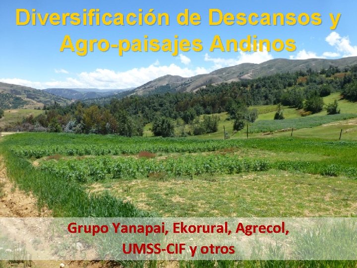 Diversificación de Descansos y Agro-paisajes Andinos Grupo Yanapai, Ekorural, Agrecol, UMSS-CIF y otros 
