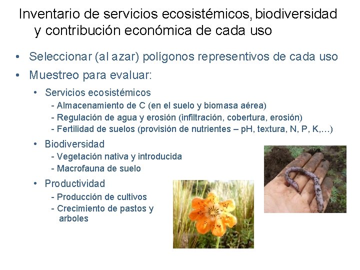 Inventario de servicios ecosistémicos, biodiversidad y contribución económica de cada uso • Seleccionar (al