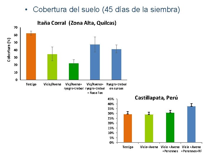  • Cobertura del suelo (45 días de la siembra) Itaña Corral (Zona Alta,