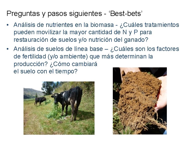 Preguntas y pasos siguientes - ‘Best-bets’ • Análisis de nutrientes en la biomasa -