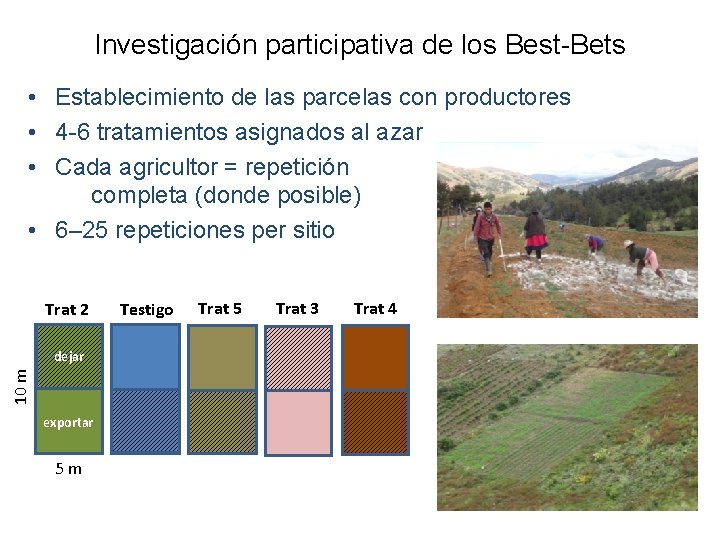 Investigación participativa de los Best-Bets • Establecimiento de las parcelas con productores • 4