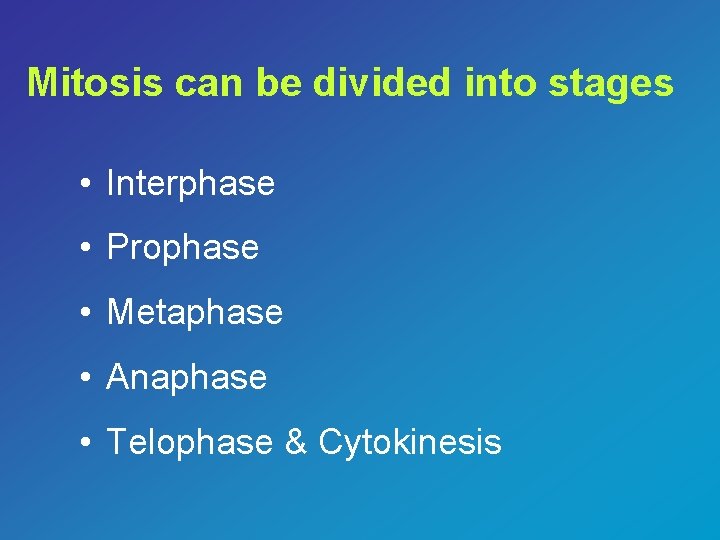 Mitosis can be divided into stages • Interphase • Prophase • Metaphase • Anaphase