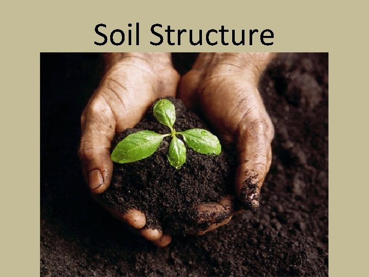 Soil Structure 