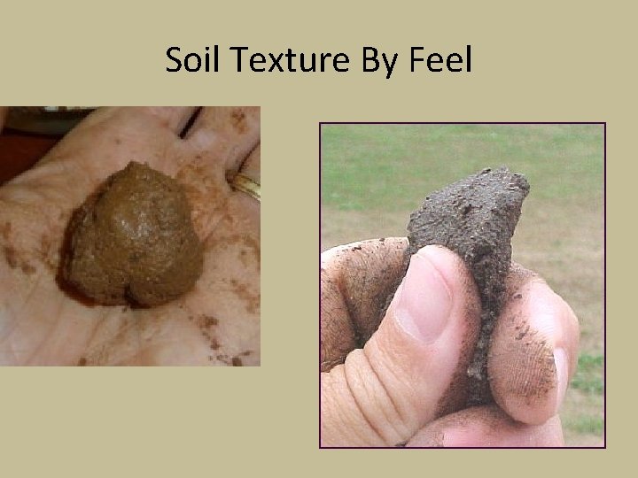 Soil Texture By Feel 