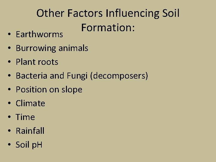 Other Factors Influencing Soil Formation: • Earthworms • • Burrowing animals Plant roots Bacteria