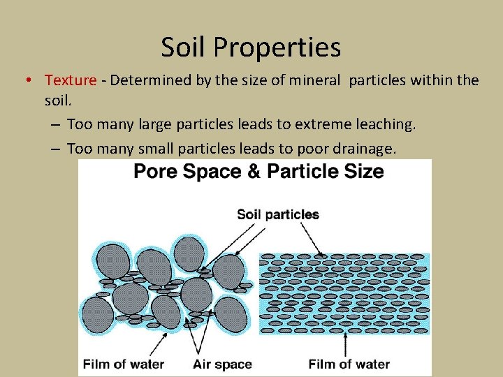 Soil Properties • Texture - Determined by the size of mineral particles within the