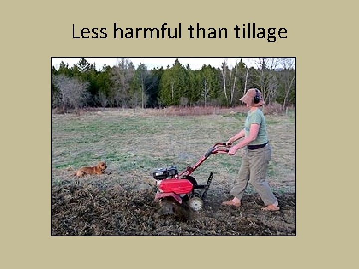 Less harmful than tillage 