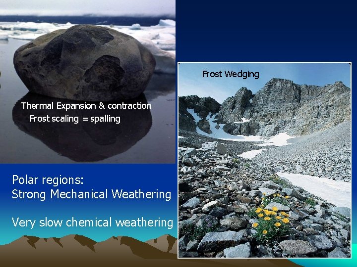 Frost Wedging Thermal Expansion & contraction Frost scaling = spalling Polar regions: Strong Mechanical