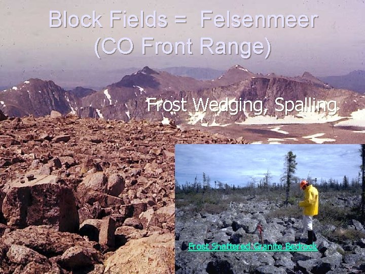 Block Fields = Felsenmeer (CO Front Range) Frost Wedging, Spalling Frost Shattered Granite Bedrock