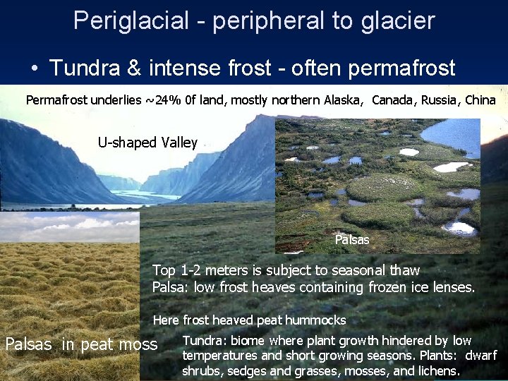 Periglacial - peripheral to glacier • Tundra & intense frost - often permafrost Permafrost