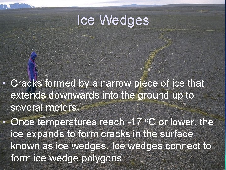 Ice Wedges • Cracks formed by a narrow piece of ice that extends downwards