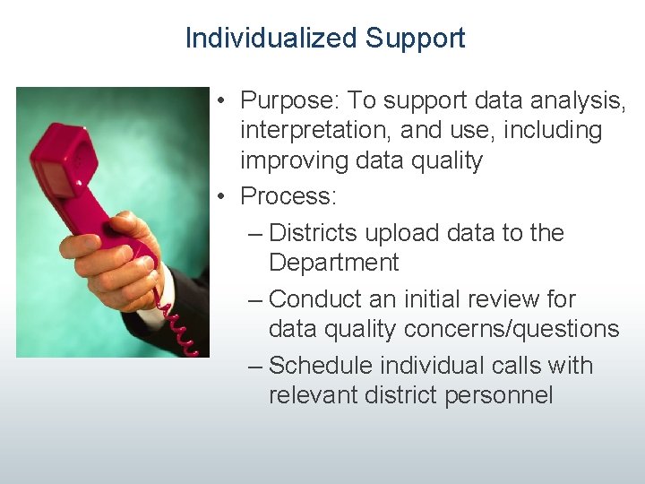 Individualized Support • Purpose: To support data analysis, interpretation, and use, including improving data