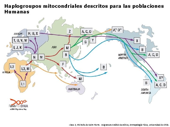 Haplogroupos mitocondriales descritos para las poblaciones Humanas clase 2, Michelle de Saint Pierre. Asignatura