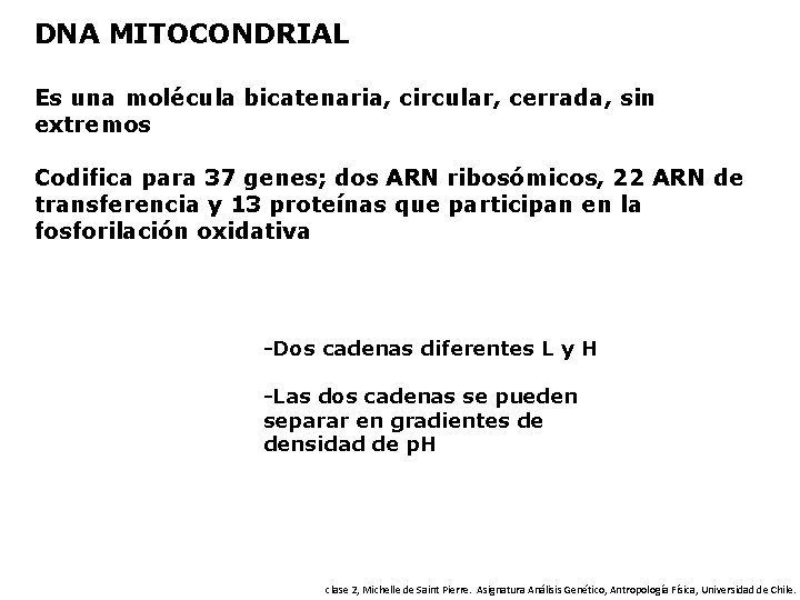 DNA MITOCONDRIAL Es una molécula bicatenaria, circular, cerrada, sin extremos Codifica para 37 genes;